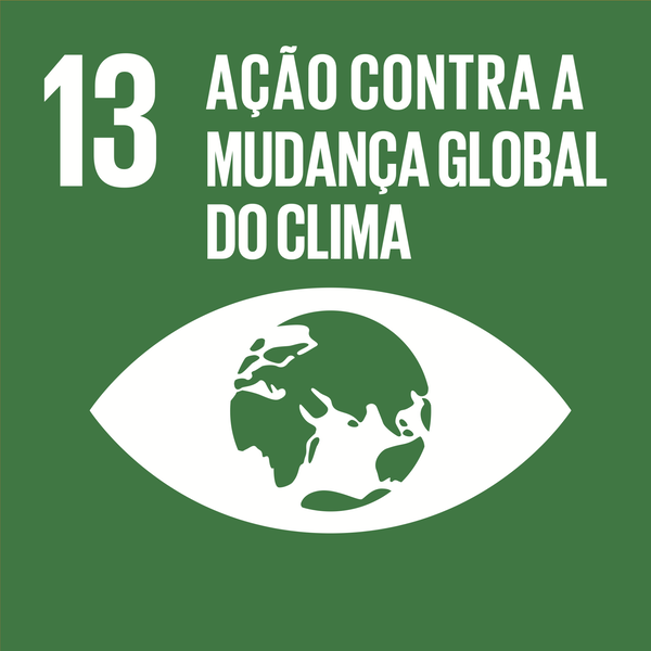 Tomar medidas urgentes para combater a mudan�a do clima e seus impactos.