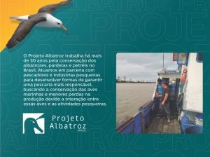 Capa Folder Consumo Capa Folder Consumo