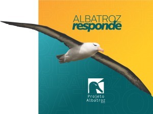 Capa - novo logotipo Capa - novo logotipo