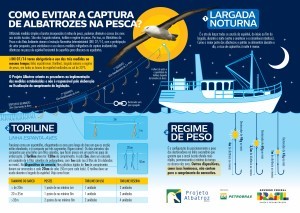 Como evitar a captura de albatrozes na pesca_