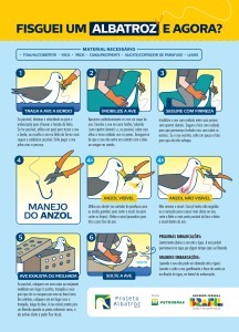 Fisguei um Albatroz e agora?