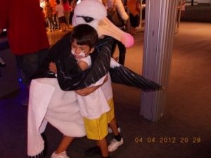 Abra&ccedil;os Gr&aacute;tis do Albatroz