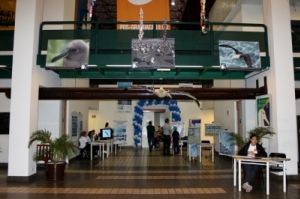 Espaço Albatroz na VI Semana de Meio Ambiente do SENAC Santos Espaço Albatroz na VI Semana de Meio Ambiente do SENAC Santos