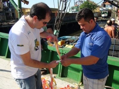 Constru&ccedil;&atilde;o do Toriline