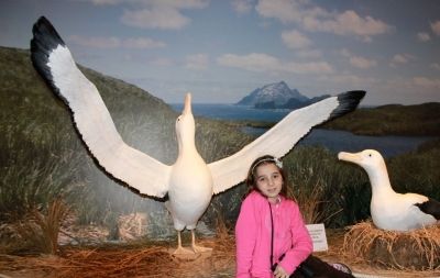 Raphaela Gianuca Vaz, visitando a exposi&ccedil;&atilde;o