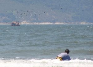 Aves marinhas tamb&eacute;m fizeram parte da Aula