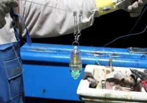 Luz de Pesca à Pilha Luz de Pesca à Pilha