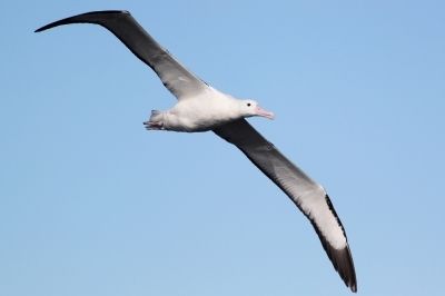 Foto: Dimas Gianuca Foto: Dimas Gianuca