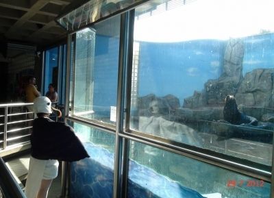 Aqu&aacute;rio de Santos