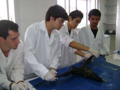 Alunos da UNESP durante a&ccedil;&atilde;o do Projeto para processamento de Petrel, em 2012