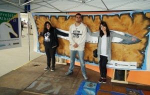 Painel de Envergadura Painel de Envergadura