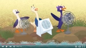 Epis&oacute;dio 8 - Voa Tina voa - Albatrupe