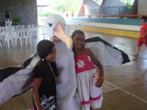 Fantasia de albatroz-errante (Diomedea Exulans) Fantasia de albatroz-errante (Diomedea Exulans)