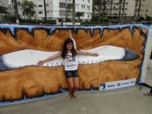 Painel de Envergadura que mostra a ilustração de um albatroz-errante com as asas abertas Painel de Envergadura que mostra a ilustração de um albatroz-errante com as asas abertas