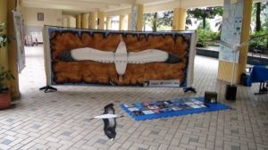 Materiais lúdicos e interativos utilizados pela Equipe de Educação Ambiental do Projeto Albatroz Materiais lúdicos e interativos utilizados pela Equipe de Educação Ambiental do Projeto Albatroz