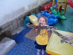 Atividade de Educação Ambiental: O sobrevôo do albatroz Atividade de Educação Ambiental: O sobrevôo do albatroz