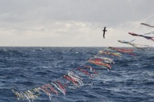 Toriline, equipamento formado, entre outros elementos, por fitas coloridas que afugentam as aves Toriline, equipamento formado, entre outros elementos, por fitas coloridas que afugentam as aves