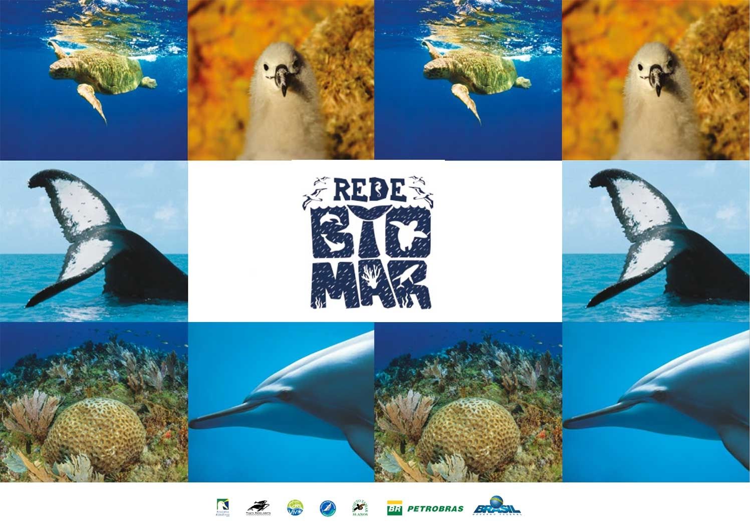 Capa-Biblioteca Capa-Biblioteca