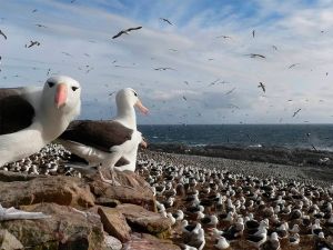 Foto Noti?cias_Ilhas Malvinas 3 Foto Noti?cias_Ilhas Malvinas 3