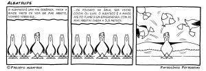 Tirinha-1-Portugu�s-Albatroz