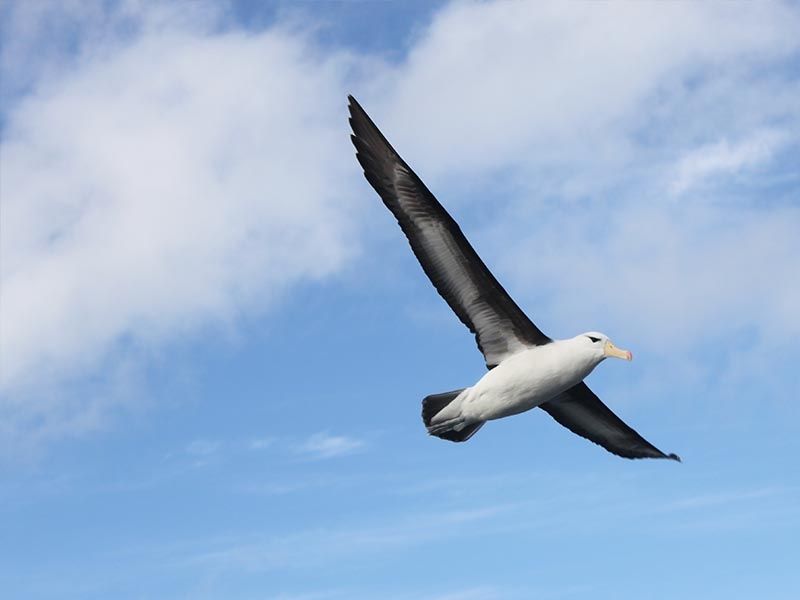 Foto Noti?cias_Workshop internacional Foto Noti?cias_Workshop internacional