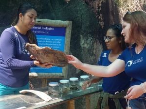 Foto Notícias_CV Tamar Vitória 3 Foto Notícias_CV Tamar Vitória 3