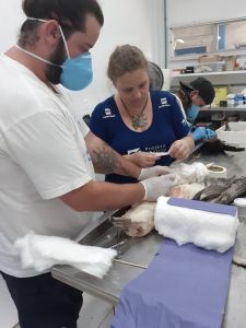 WhatsApp Image 2019-11-19 at 19.39.22 (1) WhatsApp Image 2019-11-19 at 19.39.22 (1)