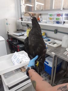 WhatsApp Image 2019-11-19 at 19.39.21 WhatsApp Image 2019-11-19 at 19.39.21