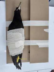 WhatsApp Image 2019-11-19 at 19.39.22 (2) WhatsApp Image 2019-11-19 at 19.39.22 (2)