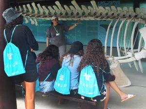 Centro de Educa��o Ambiental do SESC Bertioga