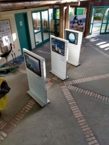 WhatsApp Image 2019-08-14 at 16.28.05 WhatsApp Image 2019-08-14 at 16.28.05