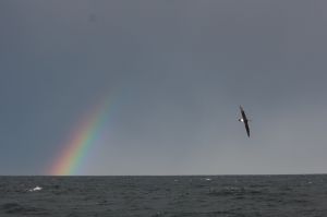 WhatsApp Image 2020-01-21 at 17.21.37