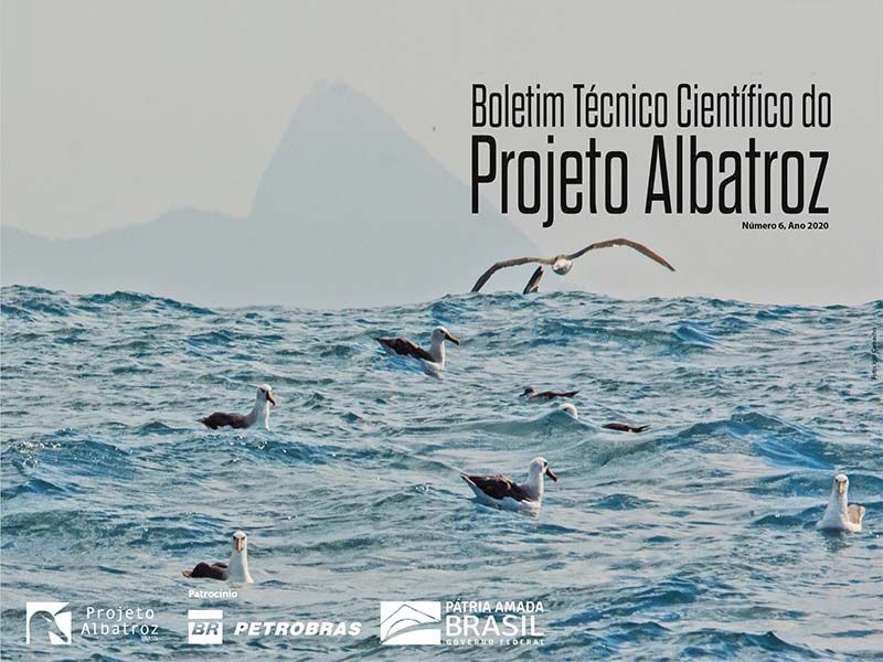 Foto Notícias_boletim Foto Notícias_boletim