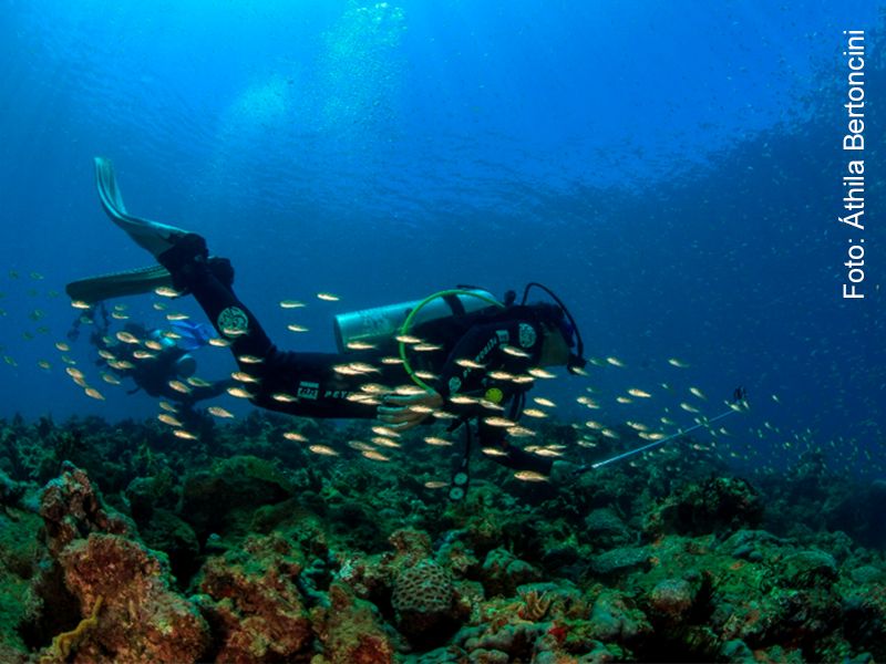 Foto Notícias_fotosub Foto Notícias_fotosub