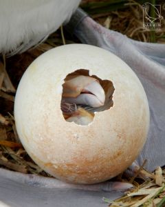 WhatsApp Image 2021-04-08 at 14.59.21 WhatsApp Image 2021-04-08 at 14.59.21