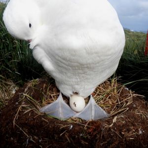 WhatsApp Image 2021-04-08 at 14.57.29 (1) WhatsApp Image 2021-04-08 at 14.57.29 (1)