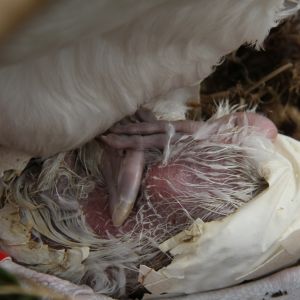 WhatsApp Image 2021-04-08 at 14.57.29 WhatsApp Image 2021-04-08 at 14.57.29