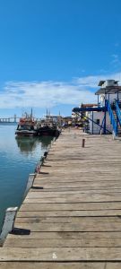 Fotos de Not�cias_ Natal 5