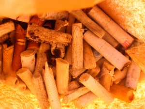 fotos-de-not-cias-bitucas-1