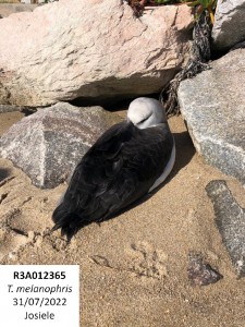 2022_08_07_resgate_Josiele_Felli 2022_08_07_resgate_Josiele_Felli