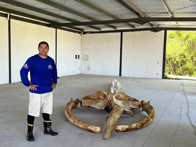 Design sem nome (1) Design sem nome (1)