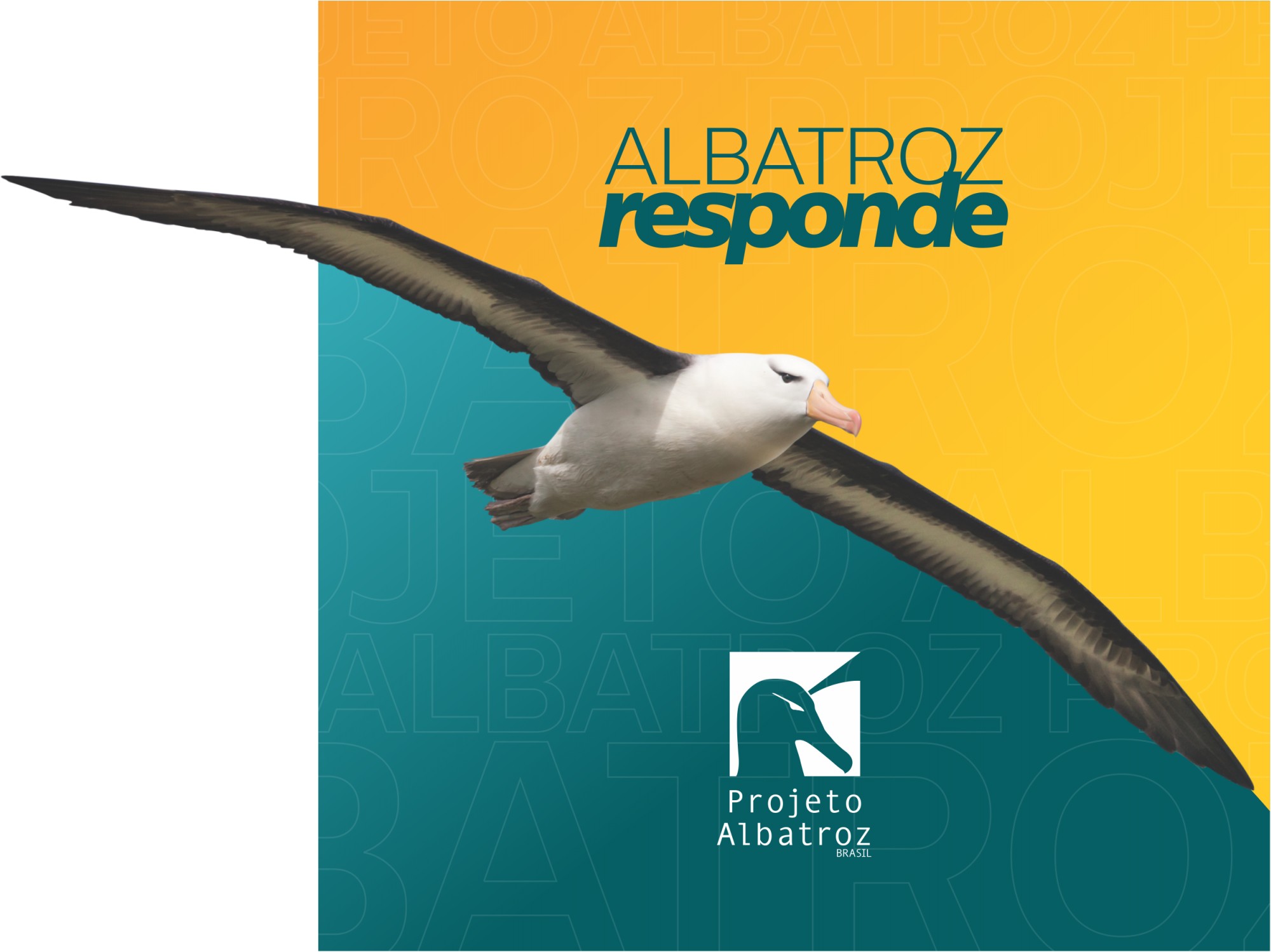 Capa - novo logotipo Capa - novo logotipo