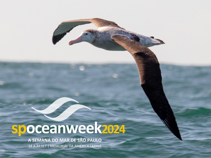 Publicação SP Ocean Wee Publicação SP Ocean Wee