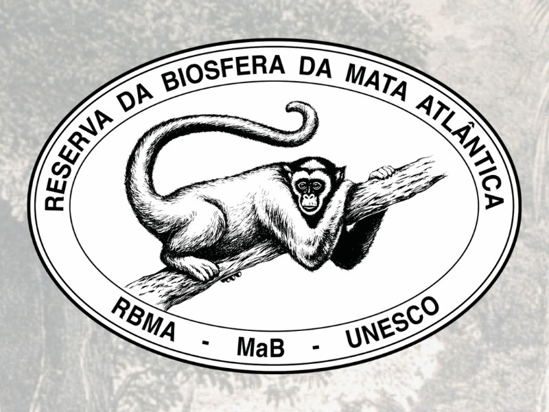 Foto_Noti?cia (5) Foto_Noti?cia (5)