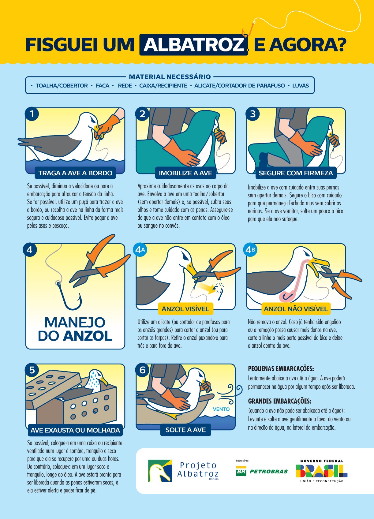 Fisguei um Albatroz e agora?