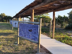 Foto_Notícia (800 x 600 px) (3) Foto_Notícia (800 x 600 px) (3)