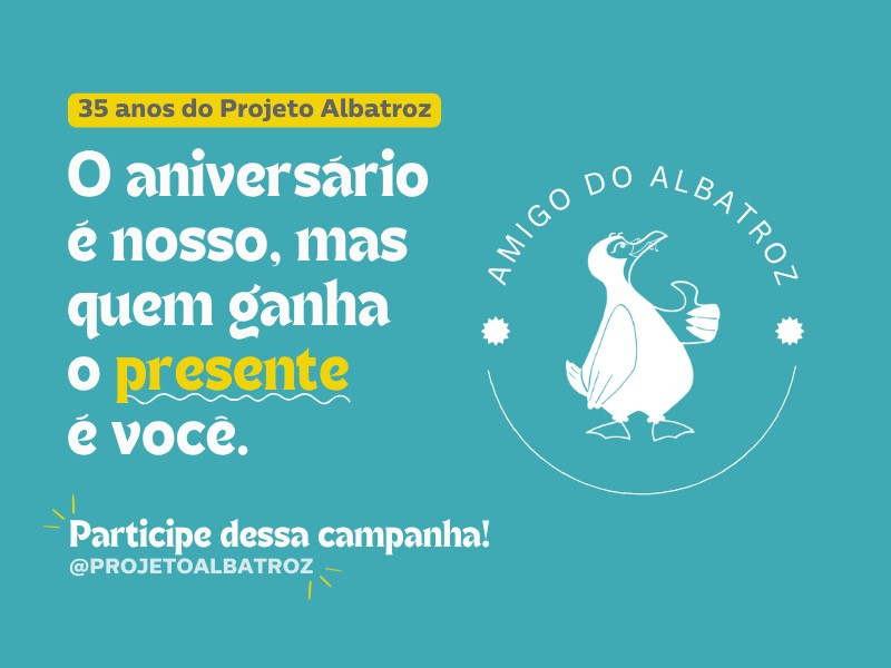 Amigo do Albatroz (Capa Release) Amigo do Albatroz (Capa Release)