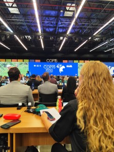 Foto__Notícia_Abertura COP15 Foto__Notícia_Abertura COP15